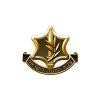 IDF