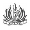 Israeli Navy
